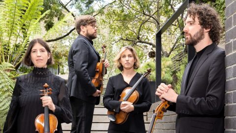 Castalian String Quartet